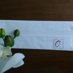 Toalha de papel lavabo 25x28cm  dobrada/PERSONALIZADA 100 unidades